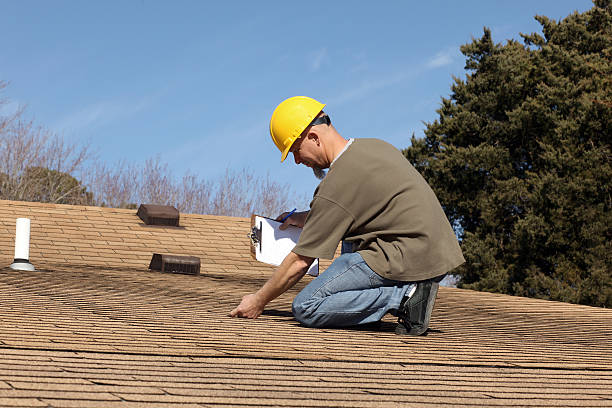 Best Roof Moss and Algae Removal  in Cohoe, AK